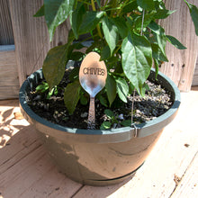 Load image into Gallery viewer, Spoon Plant Marker Prepack 48 pcs
