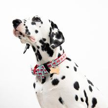 Load image into Gallery viewer, Lifestyle view of our Nautical Crab Bowtie Collar
