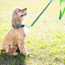Load image into Gallery viewer, Lifestyle view of our Shotgun Shell Pet Leash
