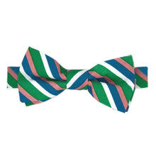 Load image into Gallery viewer, Our Multi Stripe Pattern Bow Tie
